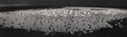 Martinmere, England  // Barun-Khemchik, Tuva, Siberia (Flock of Sheep and Goat) Pentti Sam