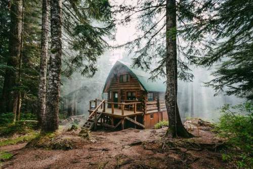 cabin in the woods