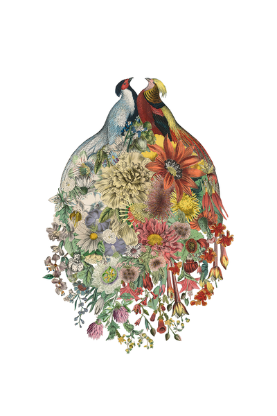 jenbekmanprojects:  Lovebirds by Amy Ross