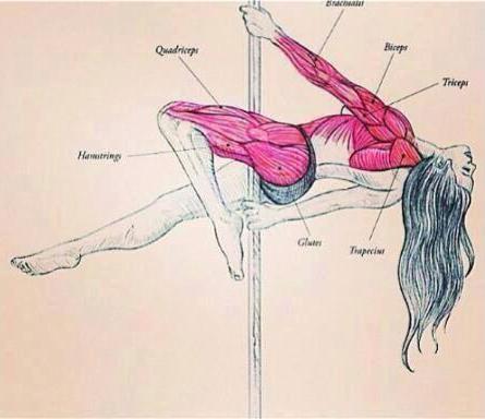 Art Fitness Funny...