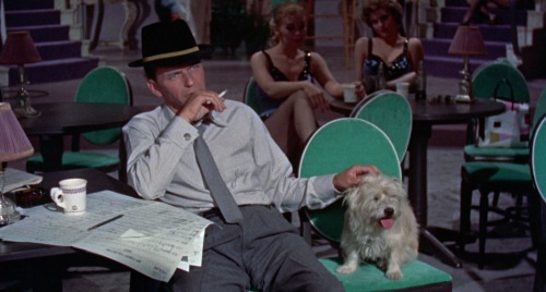 I got it figured out. You treat a dame like a lady, and you treat a lady like a dame. Pal Joe (1957)