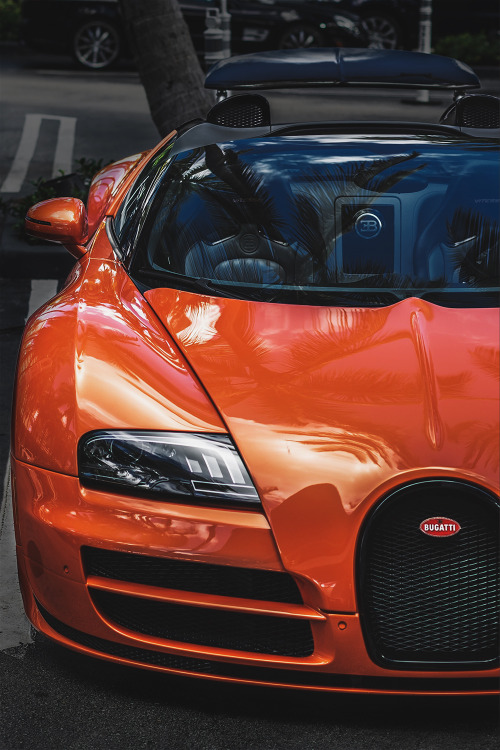 envyavenue:  Bugatti Vitesse