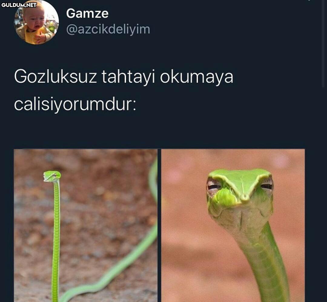 Gözlüklü arkadaş...