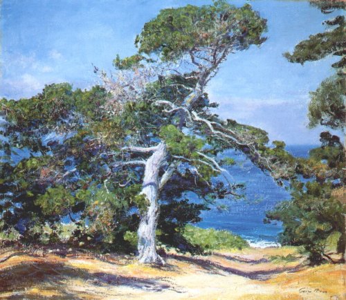 A Carmel Pine, 1918, Guy Rosehttps://www.wikiart.org/en/guy-rose/a-carmel-pine-1918