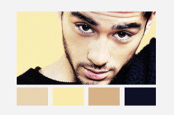 voicestyles:  One Direction - color palette 