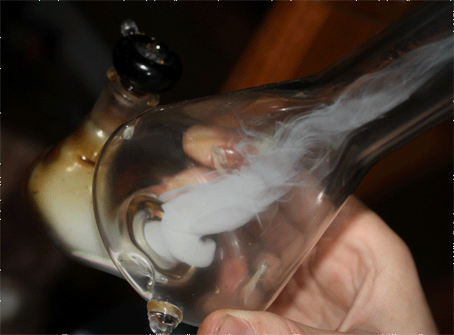 cannaweed420:  Smoke your own pot right now - Click here 