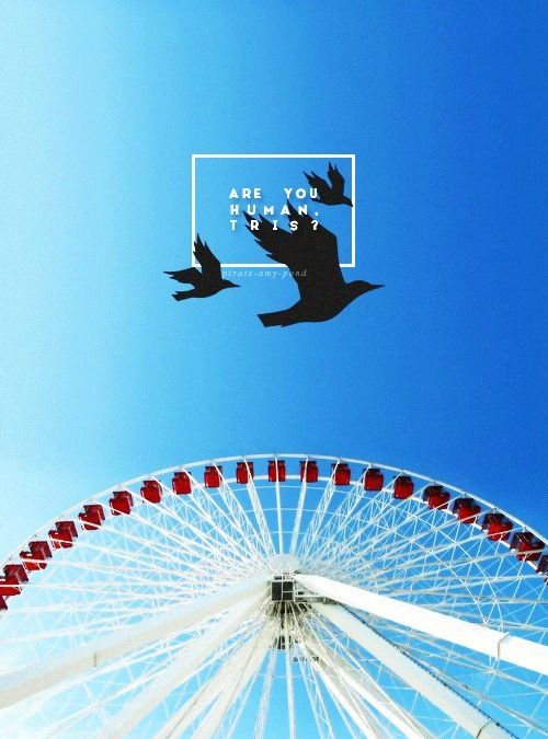 natmyproblem:21 Days of Divergent Challenge Day 20: Scene I’m most looking forward to Ferris wheel s