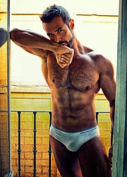 furrypty:  http://furrypty.tumblr.com/ – a blog to indulge your senses with the beauty of male shapes.
