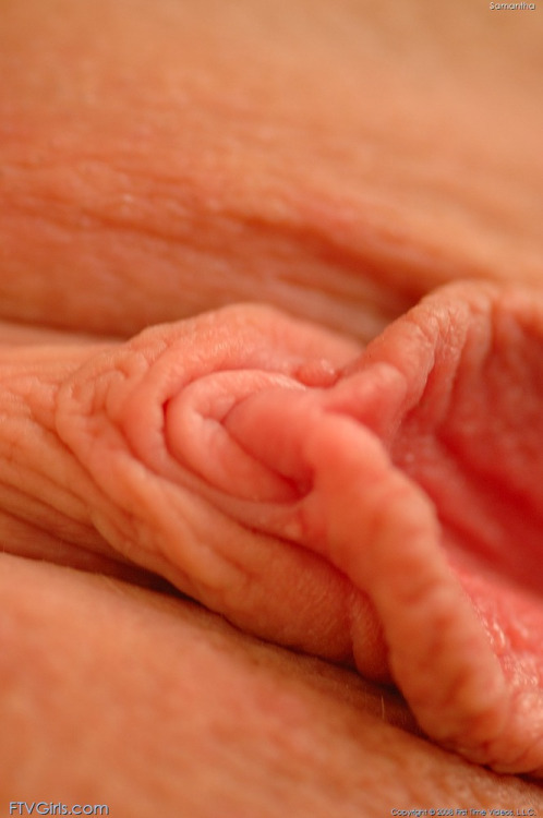 Hornballstuff