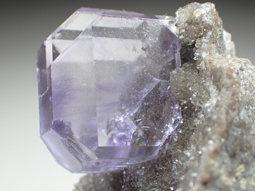 hematitehearts: Fluorite on QuartzLocality: La Viesca, Asturias, Spain