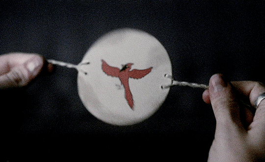 tumblr_pzhoh02zJG1qdhps7o1_540.gif