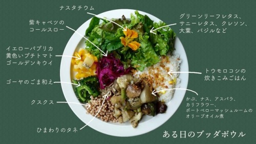 darylfranz: 「ブッダボウル」には人生に必要な野菜がつまっている【恵比寿】 - メシ通 | ホットペッパーグルメ これ完全にヴィーガン料理やん。 Marideli（マリデリ） 住所：東京都渋