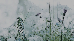bensolcs:another meme i won’t finish: twenty movies [1 of 20] → the hunger games“Welcome…! Tributes,