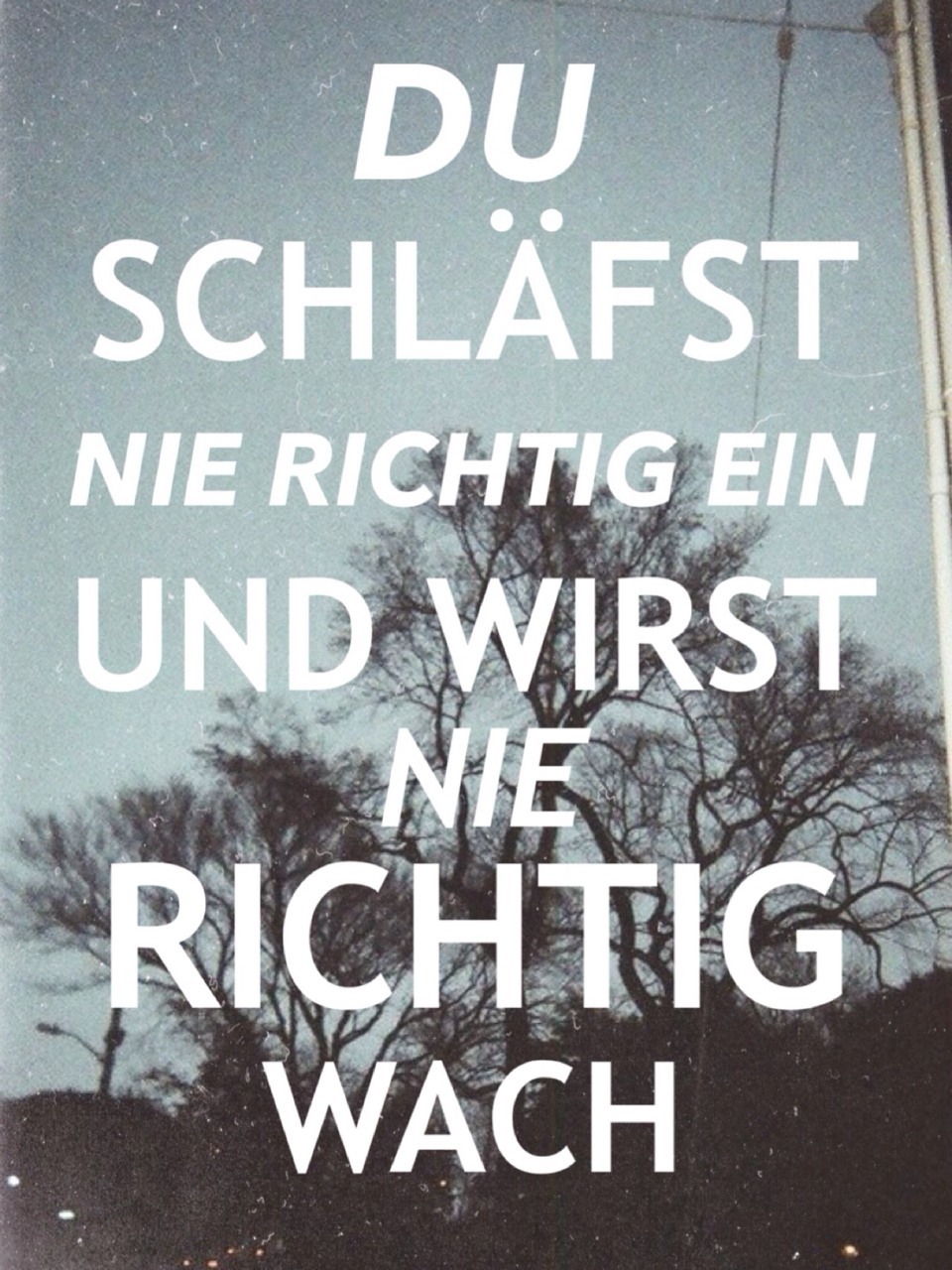 WILL AUF UND DAVON UND NIE WIEDERKOMM'