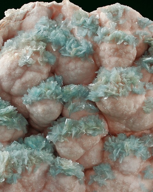 bijoux-et-mineraux:Blue Barite on Pink Dolomite - Cavnic Mine (Kapnik), Cavnic (Kapnic; Kapnik), Mar