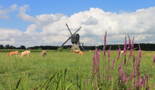 veiligplekje:Almkerk, The Netherlands