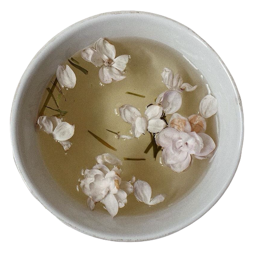 jasmine tea