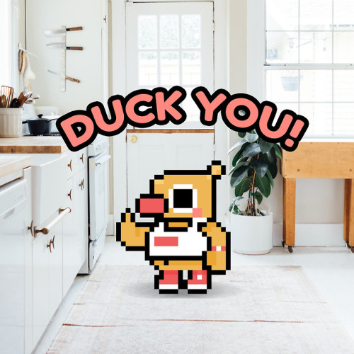 DUCK YOU.Quack Quack.