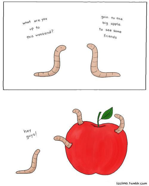 brownfatfemme:  mylifeaskriz:  ruineshumaines:  Liz Climo on Tumblr.  this really cheered me up  made me smile and i hope its makes some of you smile too :)