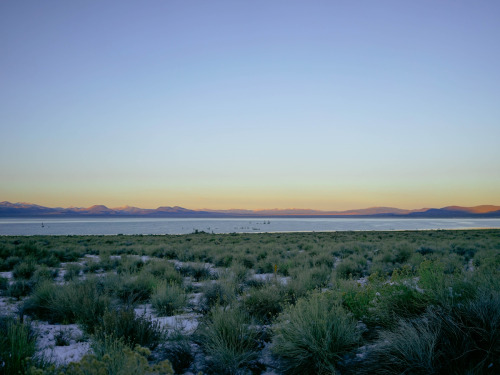 Mono Lake, CA Instagram | Website  