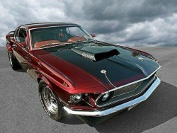 Hotrodzandpinups:  Doyoulikevintage:  Mustang  Hrp   Omggg 😍😍 Pardon Me While