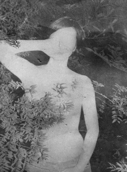 grigiabot:    Daisuke Yokota   