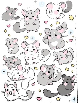 cosidraws:filled up a sketchbook page w chinchillas 💞 &gt; u&lt; &lt;3