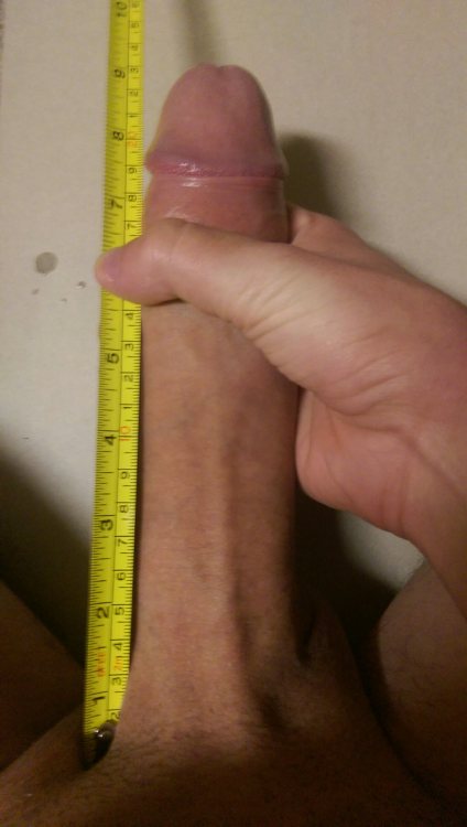 Porn photo pippisthing:This are quite real looking 20cms.