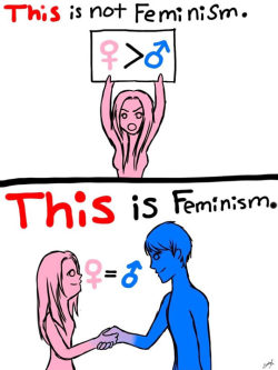 fieldsof-flowers:  There’s a difference between a feminist and feminazi. 