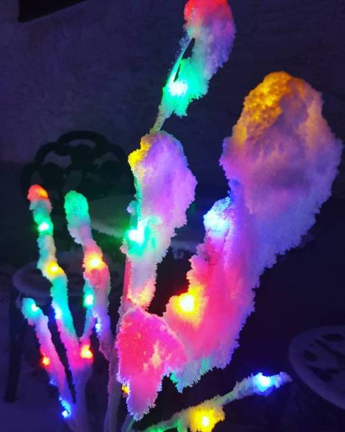 When hoarfrost meets Christmas lights