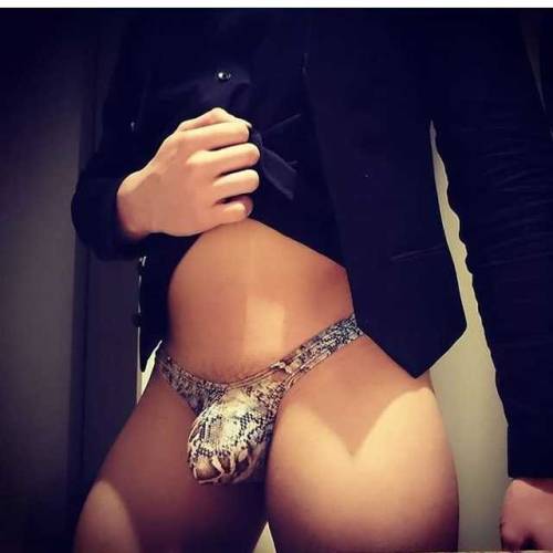 Show Off Your Bulge