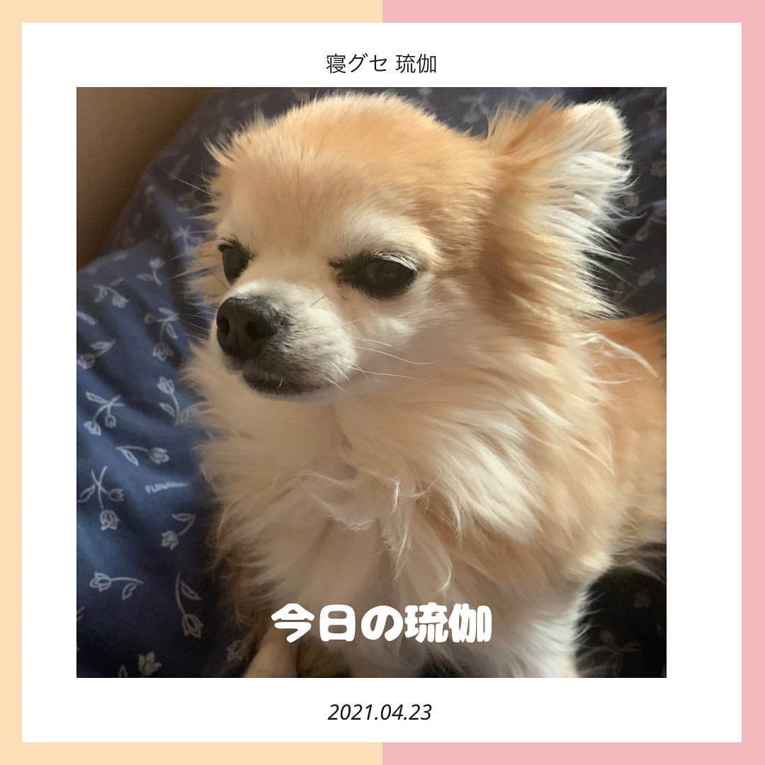 時を楽しむ Explore Tumblr Posts And Blogs Tumgir