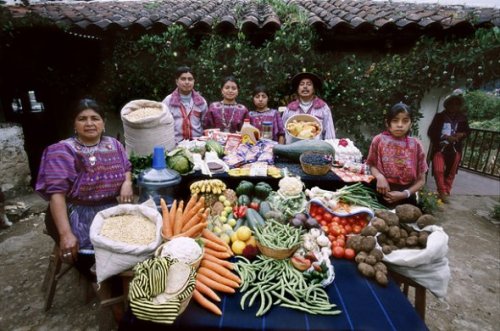 Click here for a really fascinating photo set of families around the world with a week&rsquo;s w