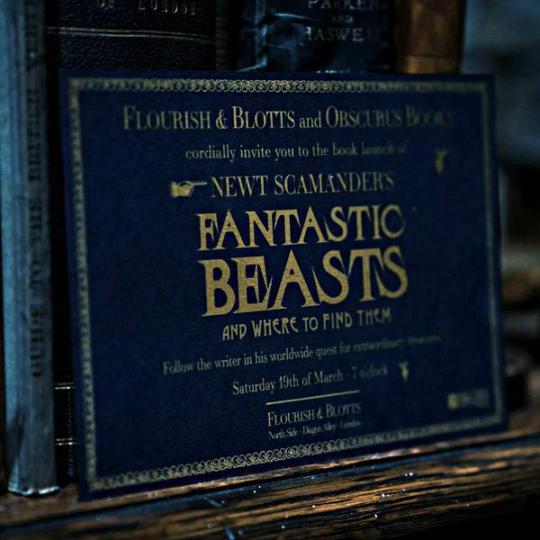 Discover and read the best of Twitter Threads about #fantasticbeasts