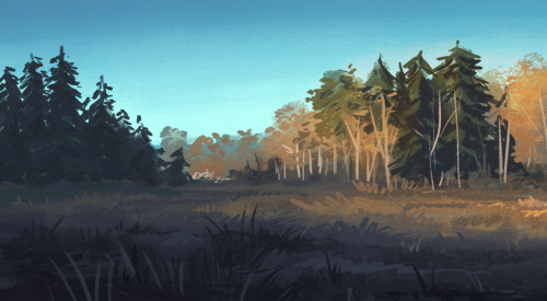 storywood:I went on a little nature walk yesterday evening! Came across this field, and I really lov