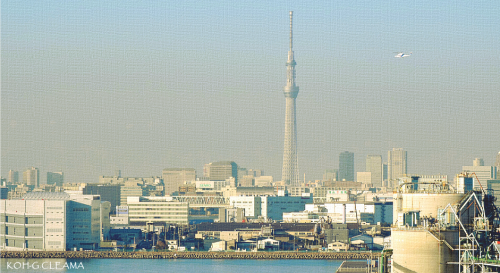 tokyobay