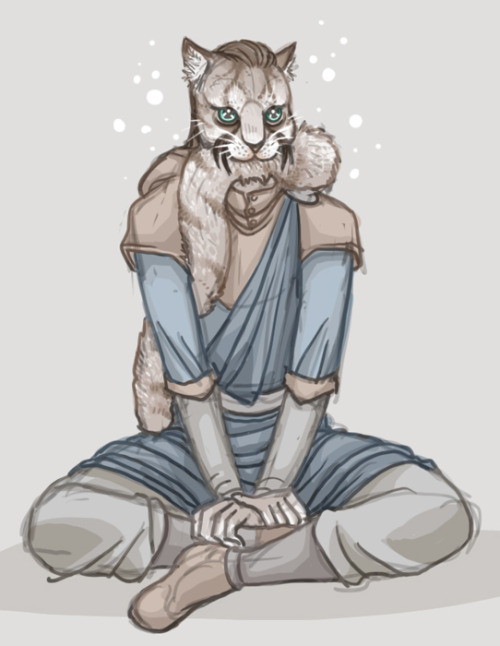 velvettodraws:Ever since I came across this picture set I’ve wanted to draw a khajit with his own ta