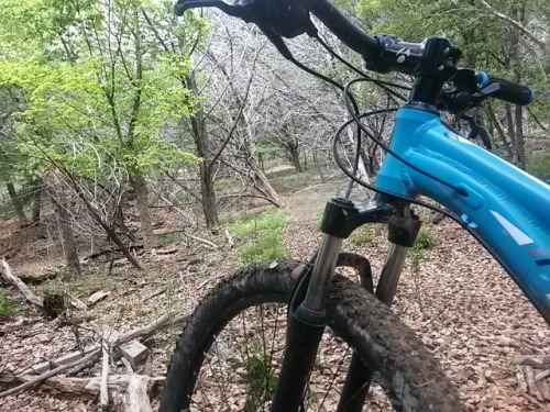 gravitystardust: I rode “the hill” for warm up because something that used to scare me, is now my bi