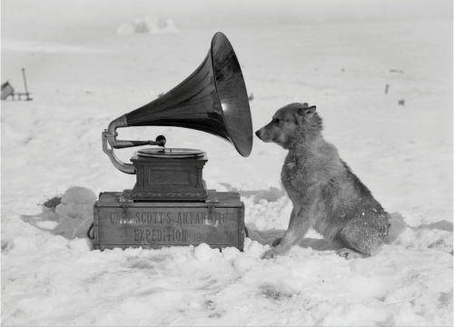 gacougnol:  Herbert George PontingChris and the Gramophone c. 1911