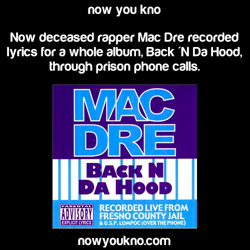 disrespectfuljezebel:  nowyoukno:  Rapper Facts - Source [1] [2] [3] [4] [5] [6] [7] [8] More rapper facts: (Kanye) (Eminem) (Tupac) (Biggie)  Cube was interested in architecture?! Holy crap I need to see some of his designs I bet they’re