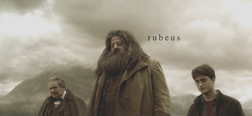 owvlery:That’s a lie. Hagrid never opened the Chamber of Secrets / for vee, my bab