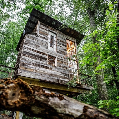 not-your-fancy-butler: utwo:  Treehouse © Danny Nabors  @numenor