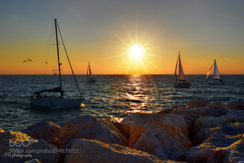 Sailboats at Sunset (2) by ITGphotography