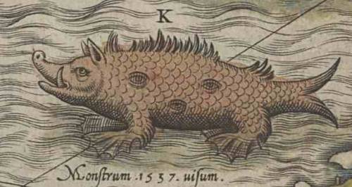 Sea monsters from 16th century maps. Man/horse/fish, sea pig, two blowholed whales, and giant lobste