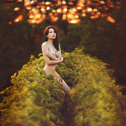 anexquisitenymph:  ph Bogdan Popravko