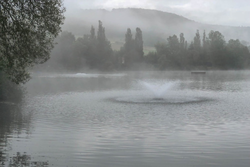 Good morning from our preferred bathing lake.Old farmer wisdom: Fog in the morning turns into a hot,