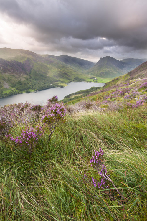 idratherdreamofjune: wanderthewood: Buttermere, Lake District, England by JSMJSM SWALLOWS AND AMAZON