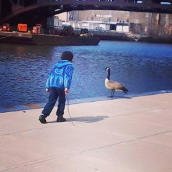 Amin testing his bravery. #son #goose #mycity #outside #chicago #river #instaphoto