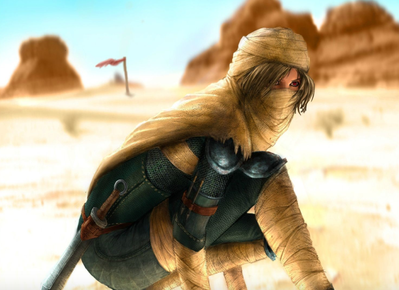 takashi0:  cynical-werewolf:  nintendocafe:  A Sheik spin-off game has been considered