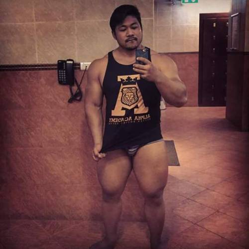 mukimukithai: Big bear Thai muscle - Koh Bachit Kwinpolasa